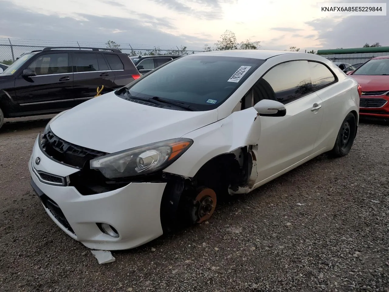 2014 Kia Forte Ex VIN: KNAFX6A85E5229844 Lot: 78792214