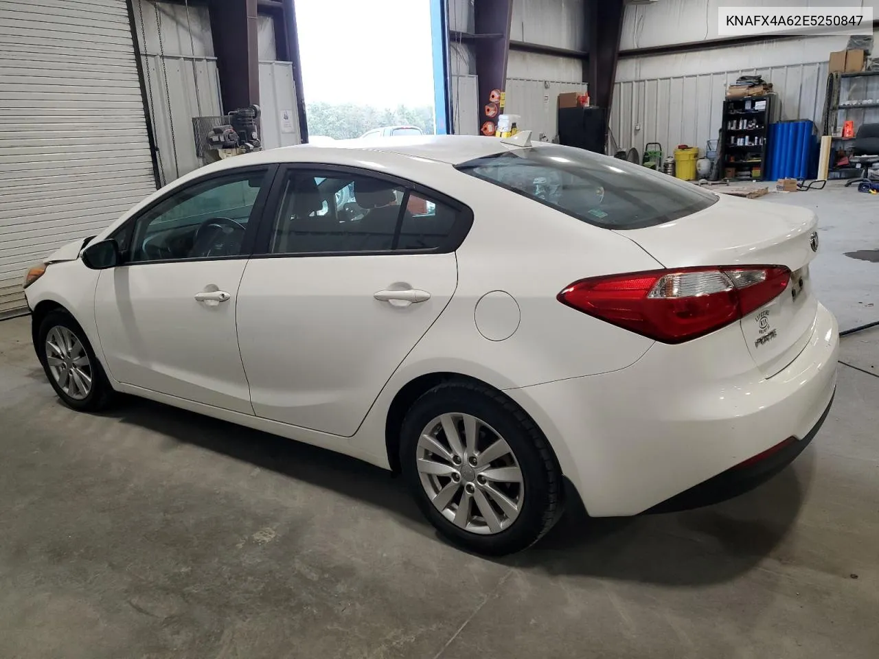 2014 Kia Forte Lx VIN: KNAFX4A62E5250847 Lot: 79110954