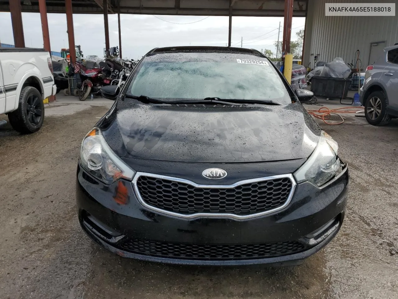 2014 Kia Forte Lx VIN: KNAFK4A65E5188018 Lot: 79329254