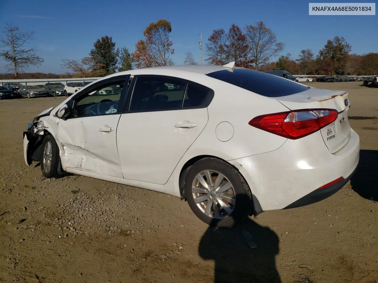 2014 Kia Forte Lx VIN: KNAFX4A68E5091834 Lot: 79540314