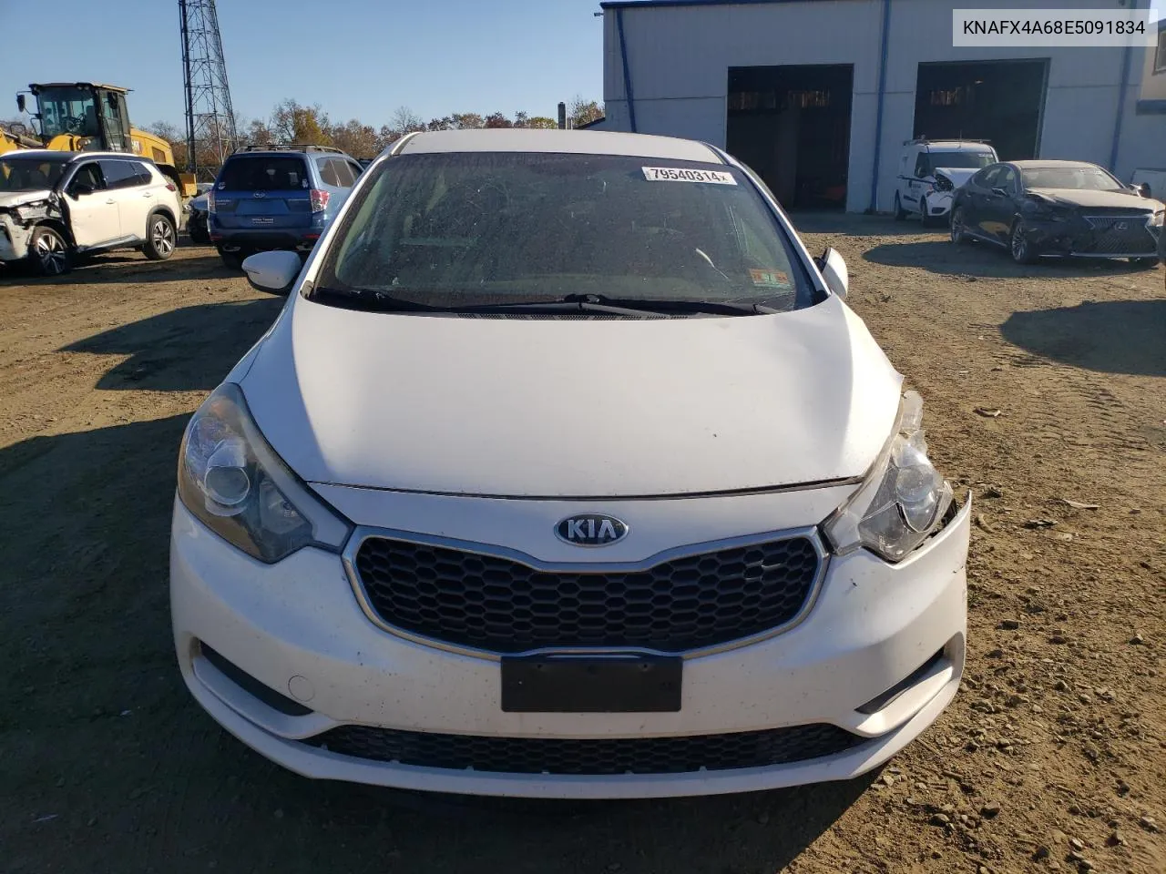 2014 Kia Forte Lx VIN: KNAFX4A68E5091834 Lot: 79540314