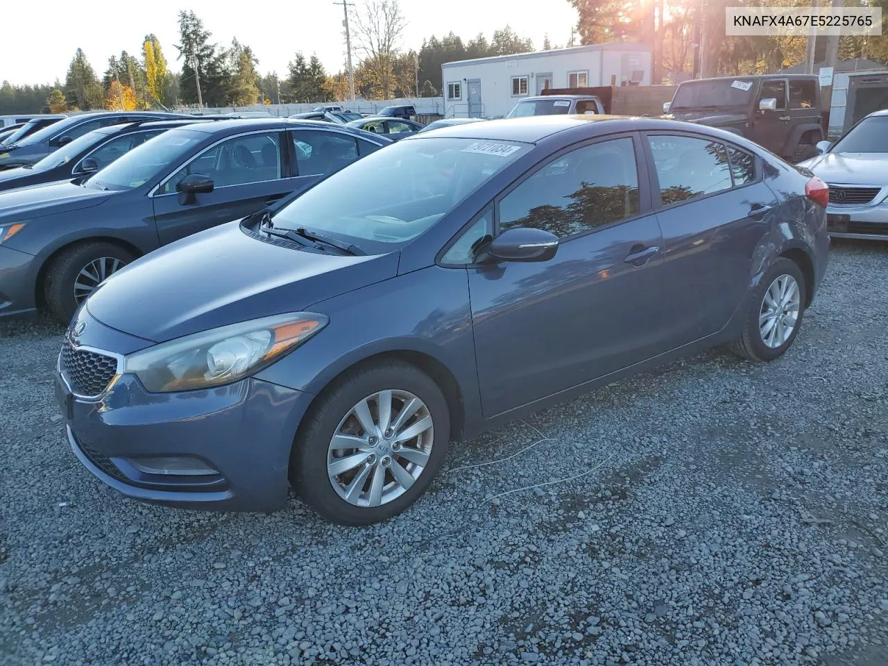 2014 Kia Forte Lx VIN: KNAFX4A67E5225765 Lot: 79721034