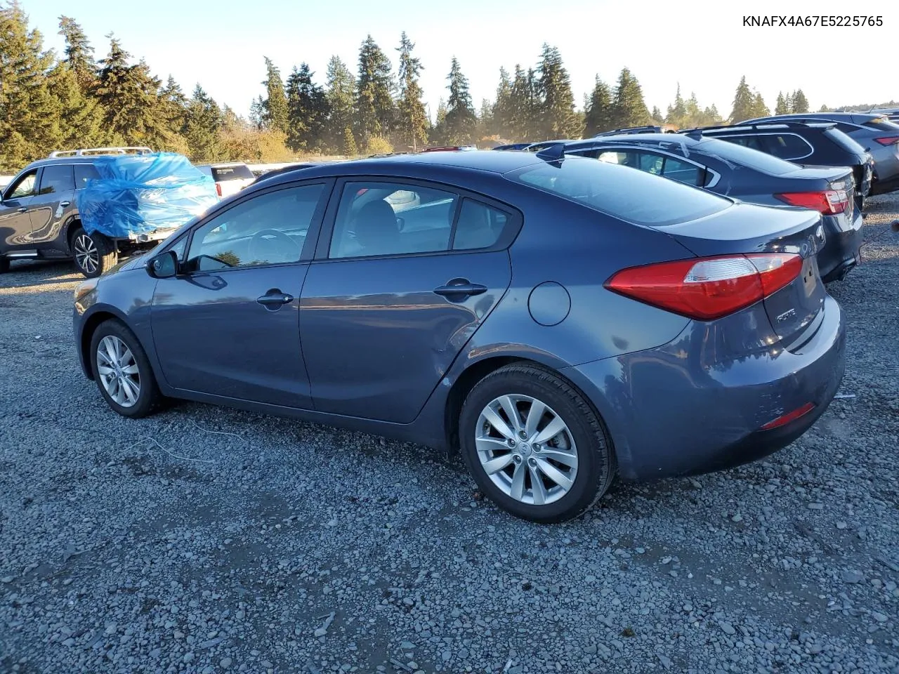 2014 Kia Forte Lx VIN: KNAFX4A67E5225765 Lot: 79721034