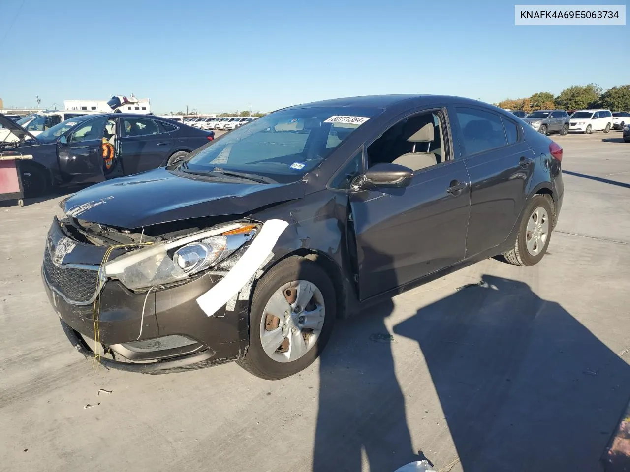 2014 Kia Forte Lx VIN: KNAFK4A69E5063734 Lot: 80771384