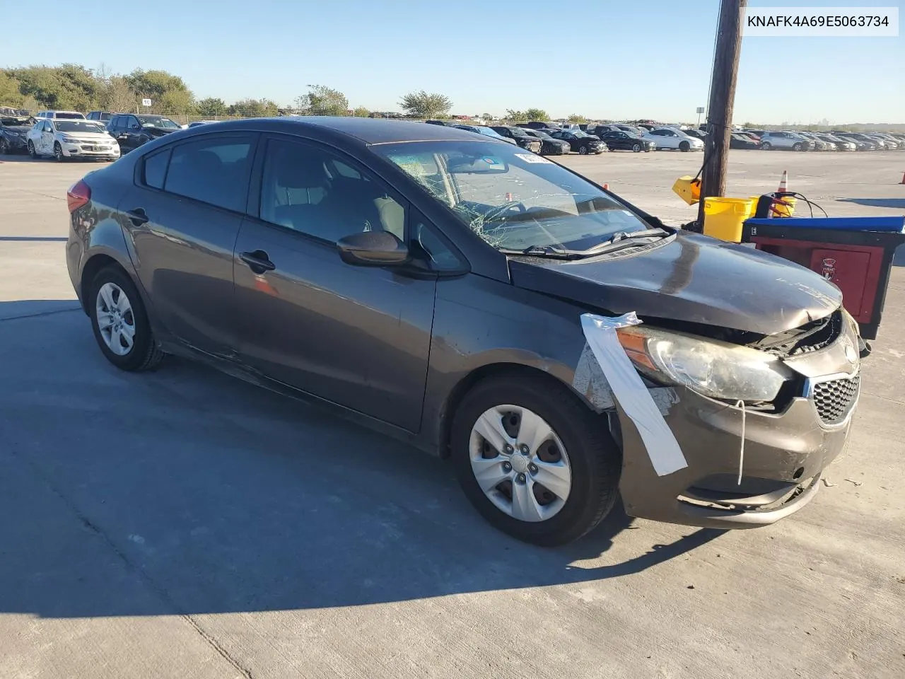 2014 Kia Forte Lx VIN: KNAFK4A69E5063734 Lot: 80771384