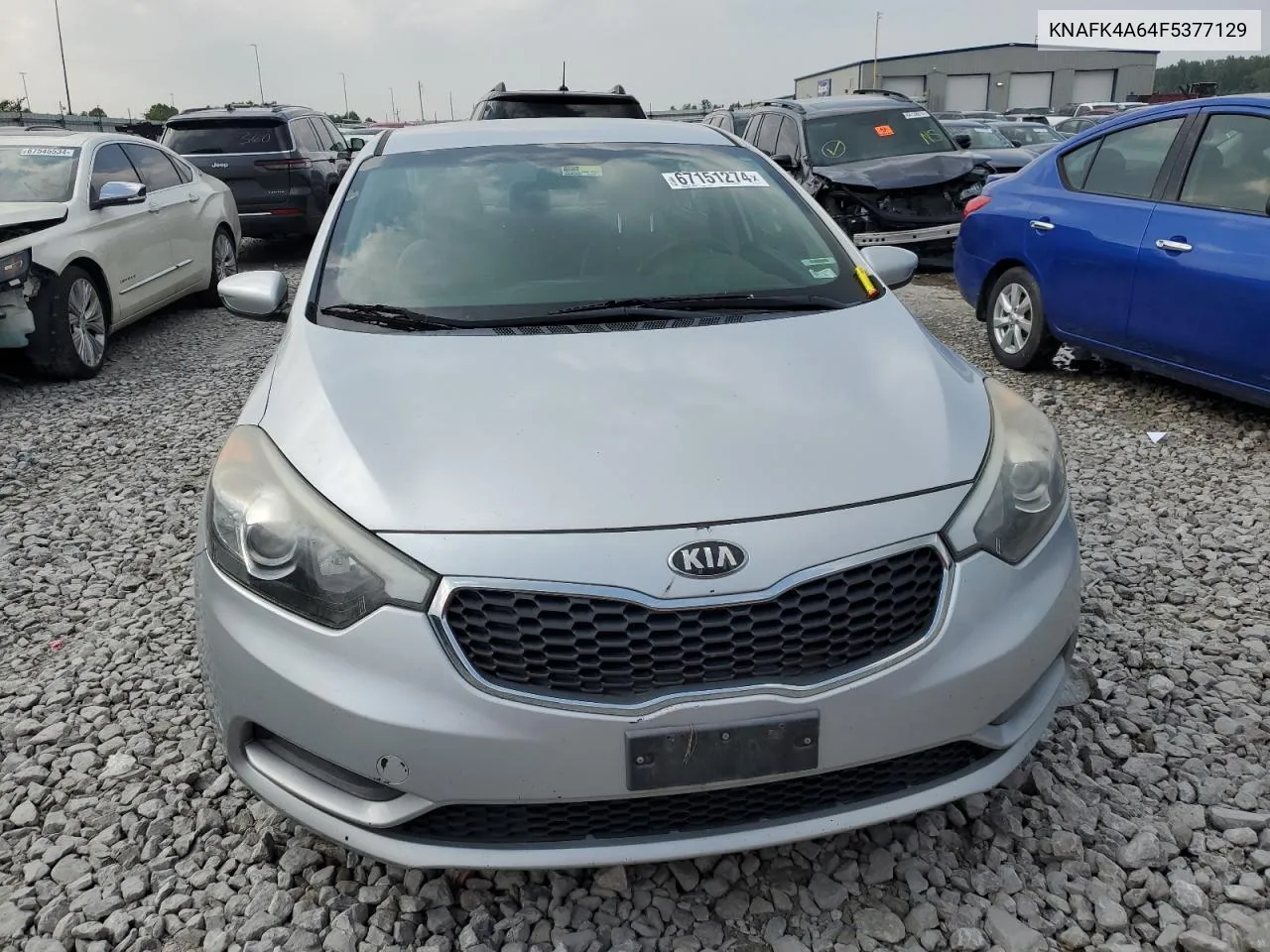 2015 Kia Forte Lx VIN: KNAFK4A64F5377129 Lot: 67151274