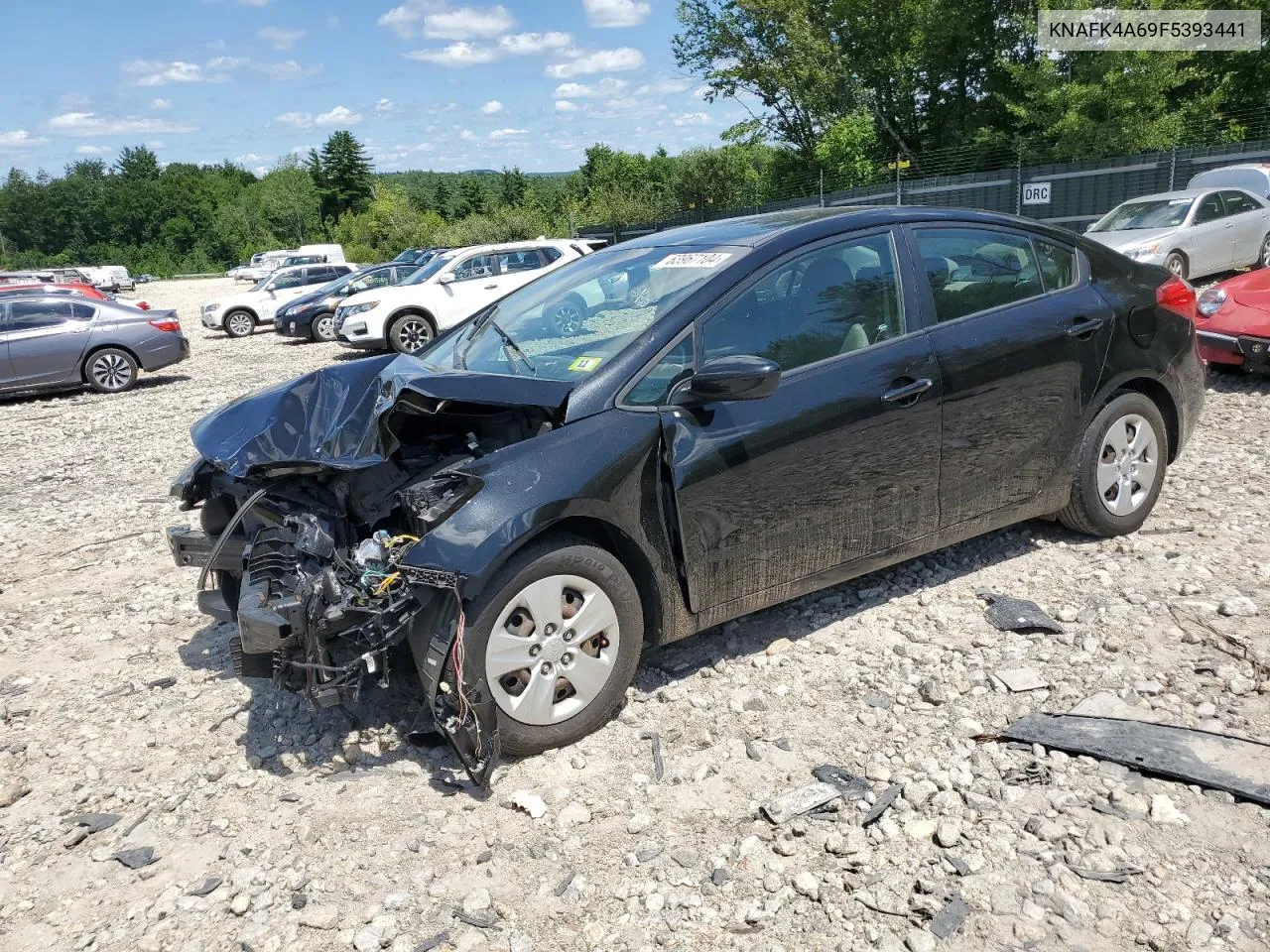 2015 Kia Forte Lx VIN: KNAFK4A69F5393441 Lot: 68342254