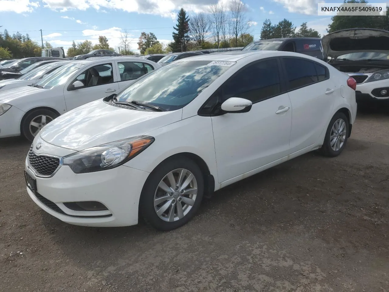 2015 Kia Forte Lx VIN: KNAFX4A65F5409619 Lot: 75117764