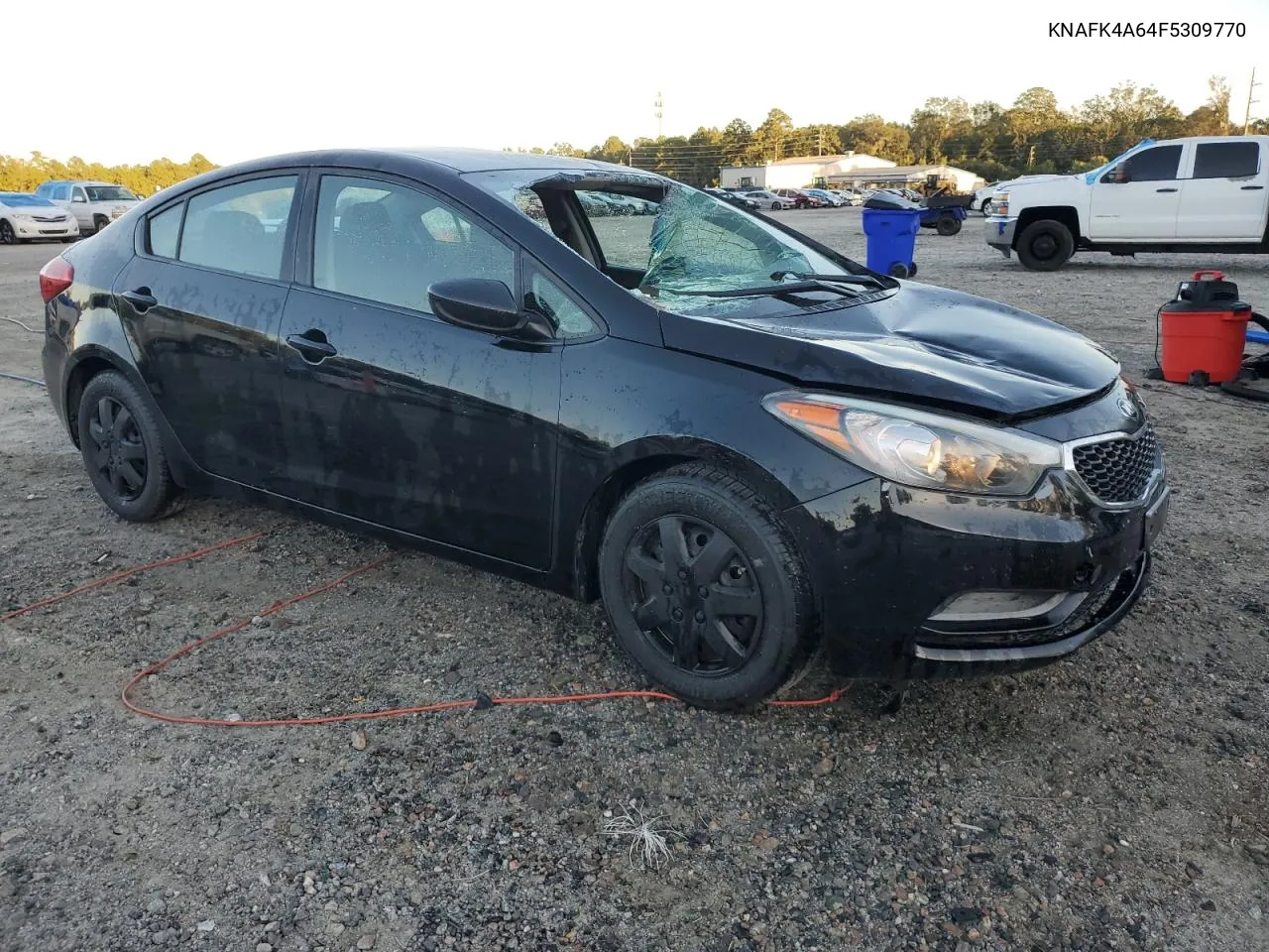 2015 Kia Forte Lx VIN: KNAFK4A64F5309770 Lot: 75697174