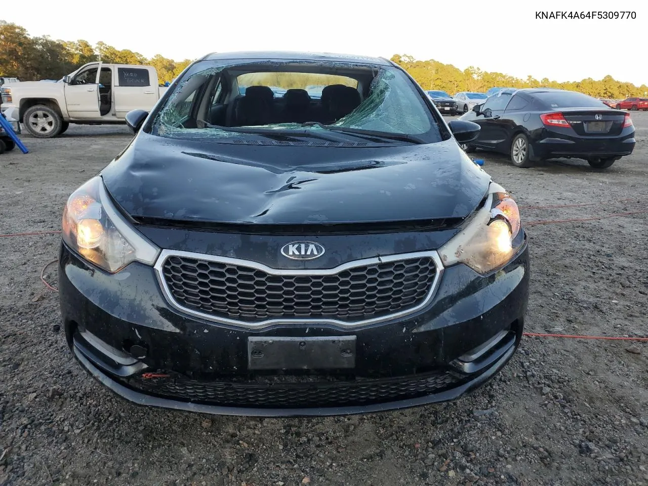 2015 Kia Forte Lx VIN: KNAFK4A64F5309770 Lot: 75697174