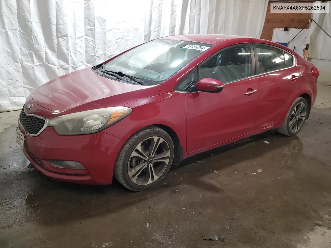 2015 Kia Forte Ex VIN: KNAFX4A8XF5262604 Lot: 78186004