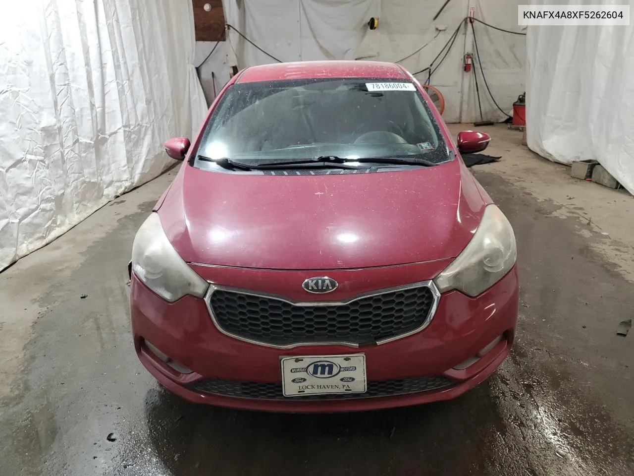 2015 Kia Forte Ex VIN: KNAFX4A8XF5262604 Lot: 78186004