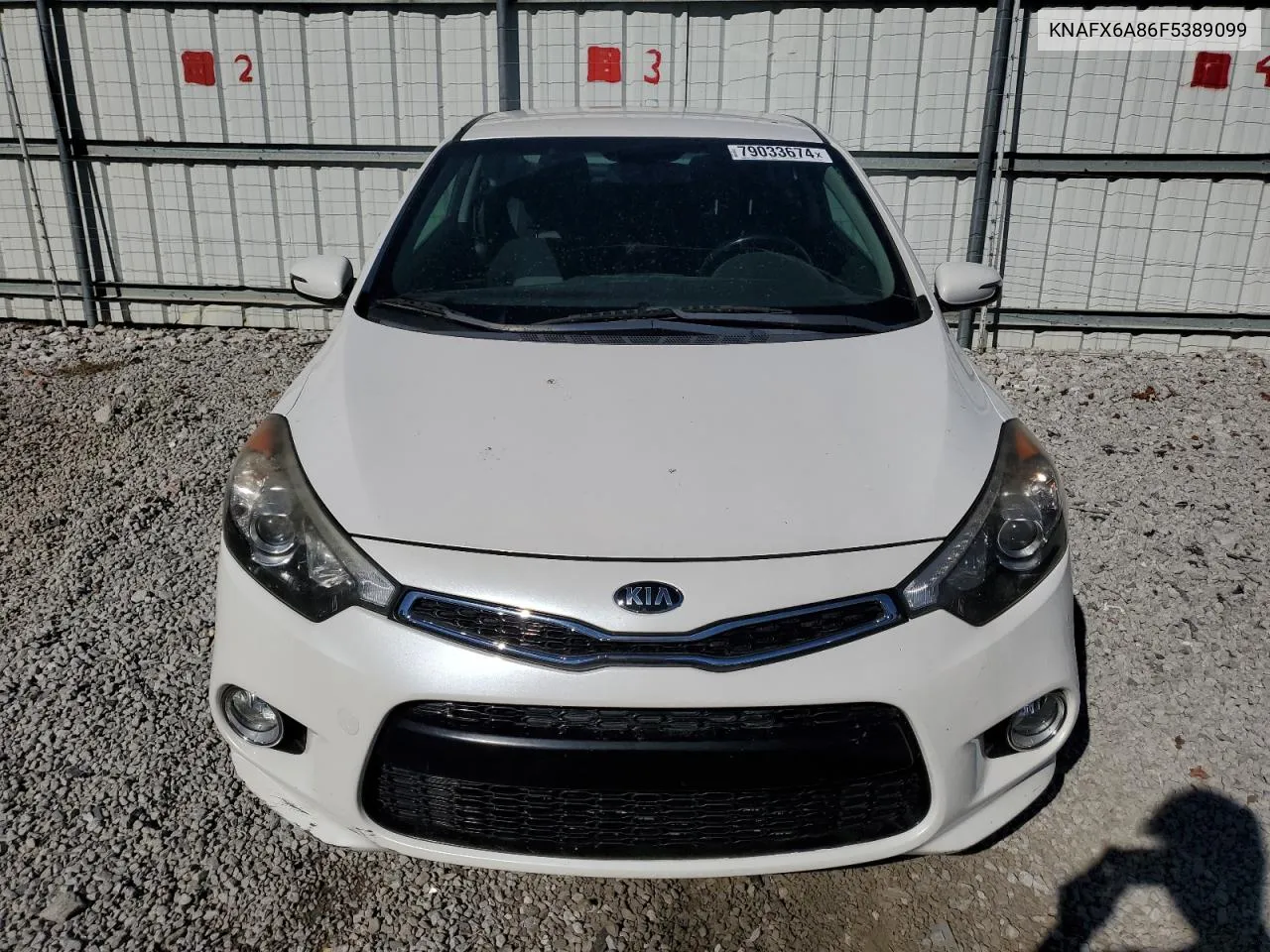 2015 Kia Forte Ex VIN: KNAFX6A86F5389099 Lot: 79033674