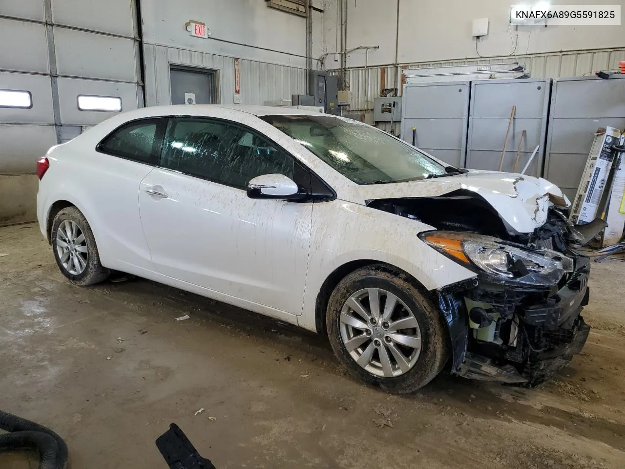 KNAFX6A89G5591825 2016 Kia Forte Ex