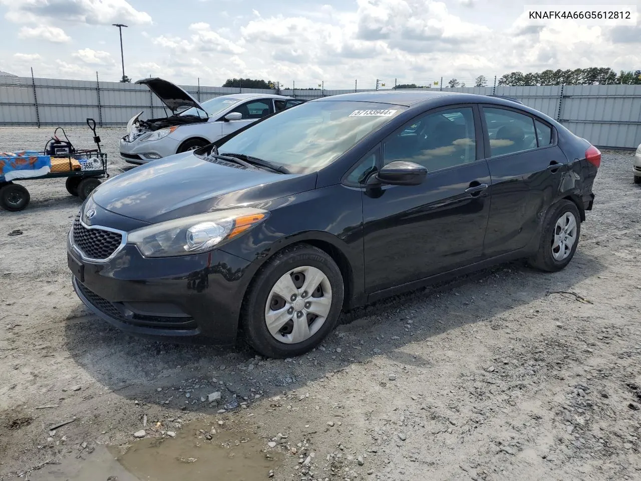 2016 Kia Forte Lx VIN: KNAFK4A66G5612812 Lot: 57133944