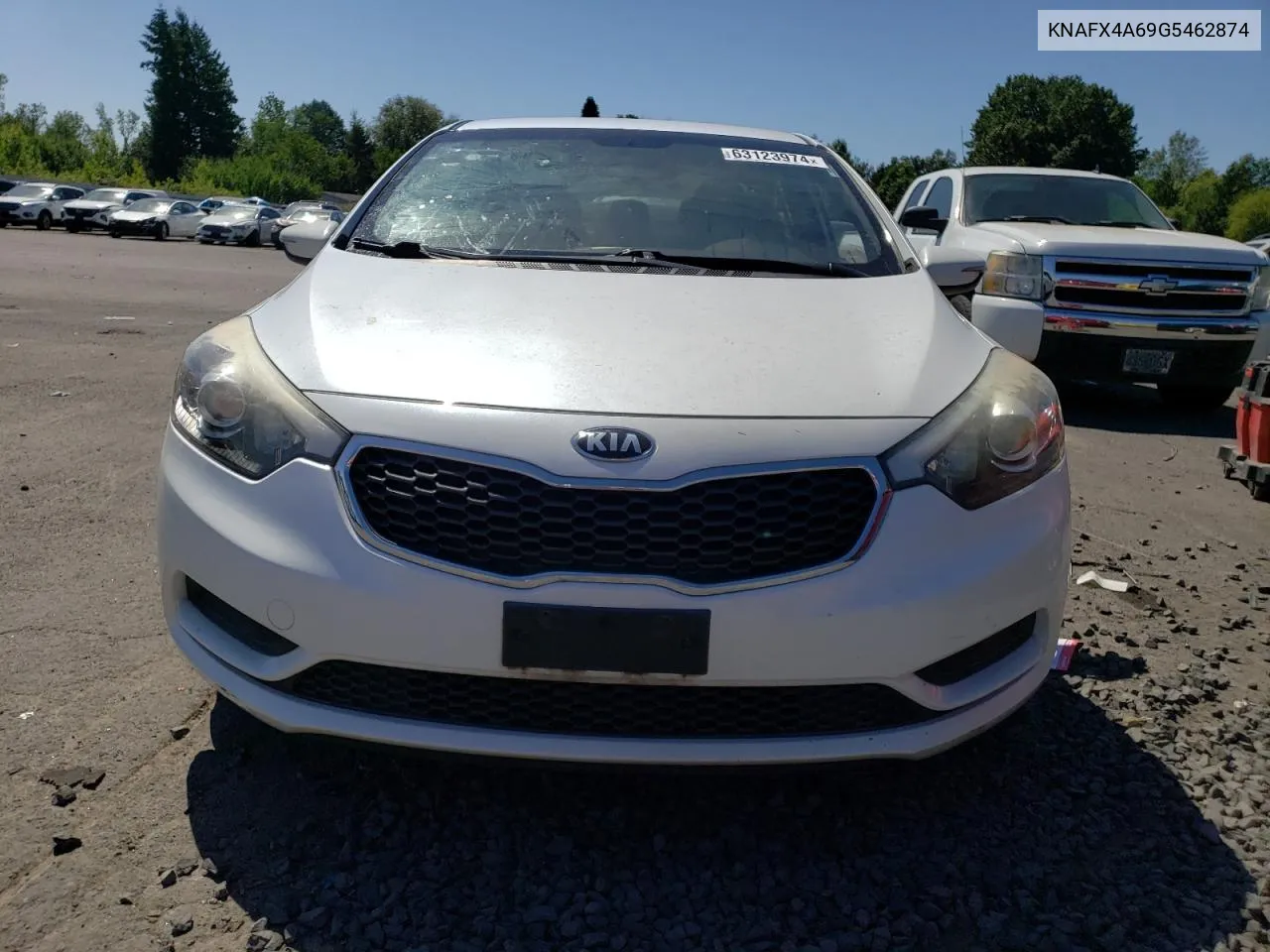 2016 Kia Forte Lx VIN: KNAFX4A69G5462874 Lot: 63123974