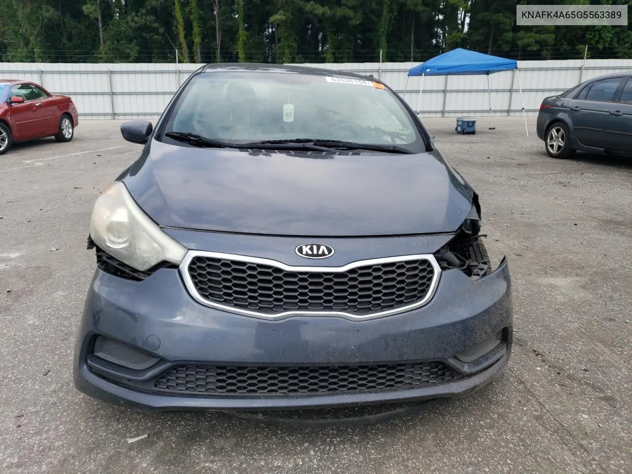 2016 Kia Forte Lx VIN: KNAFK4A65G5563389 Lot: 63636154