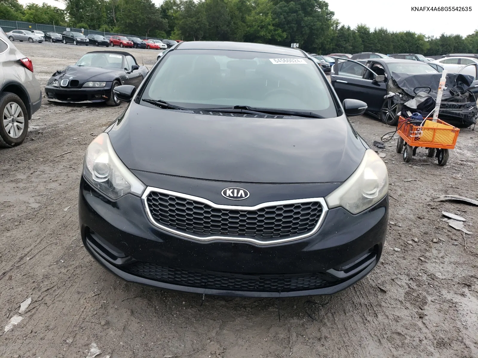 2016 Kia Forte Lx VIN: KNAFX4A68G5542635 Lot: 64560024