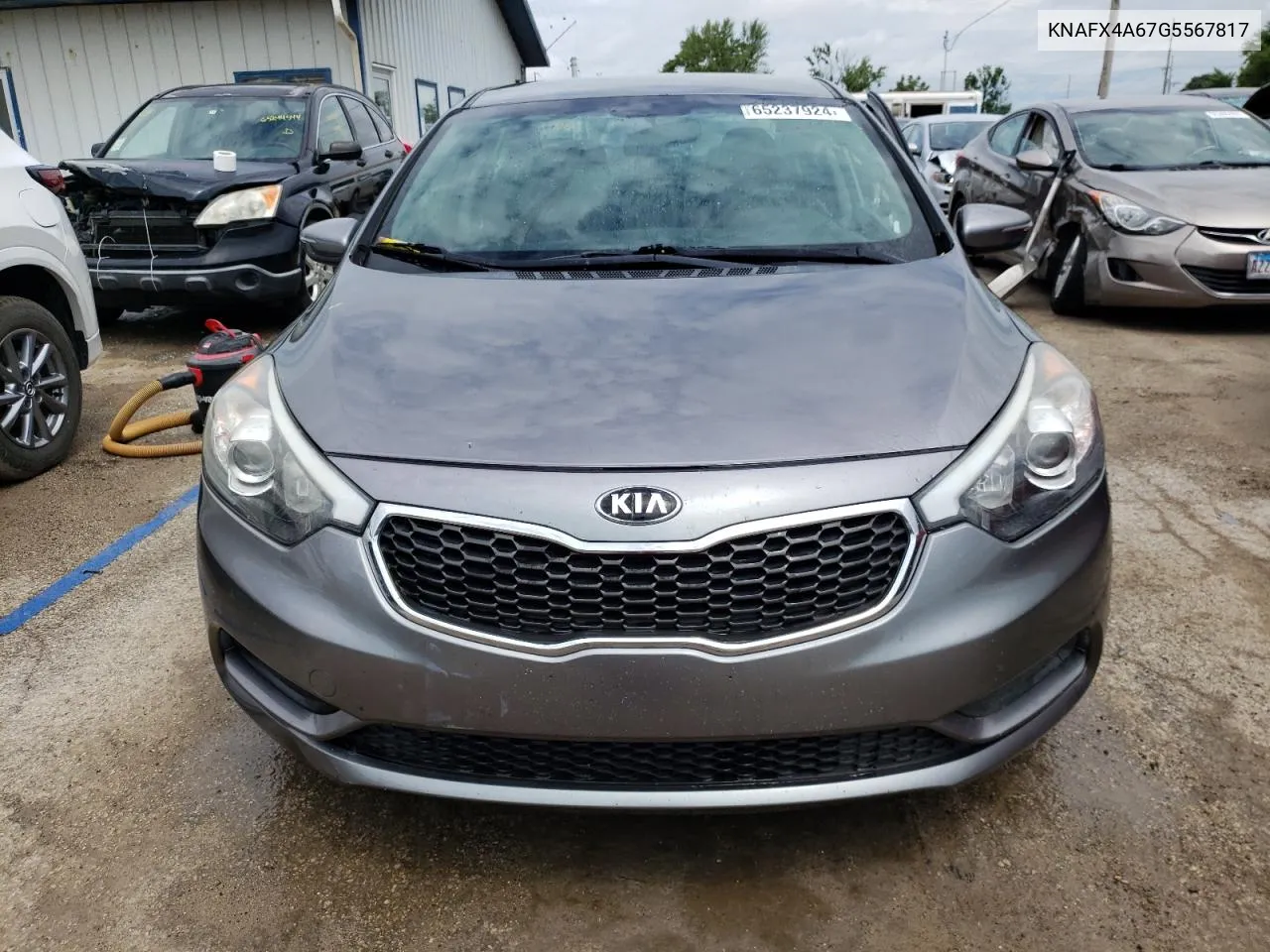 2016 Kia Forte Lx VIN: KNAFX4A67G5567817 Lot: 65237924