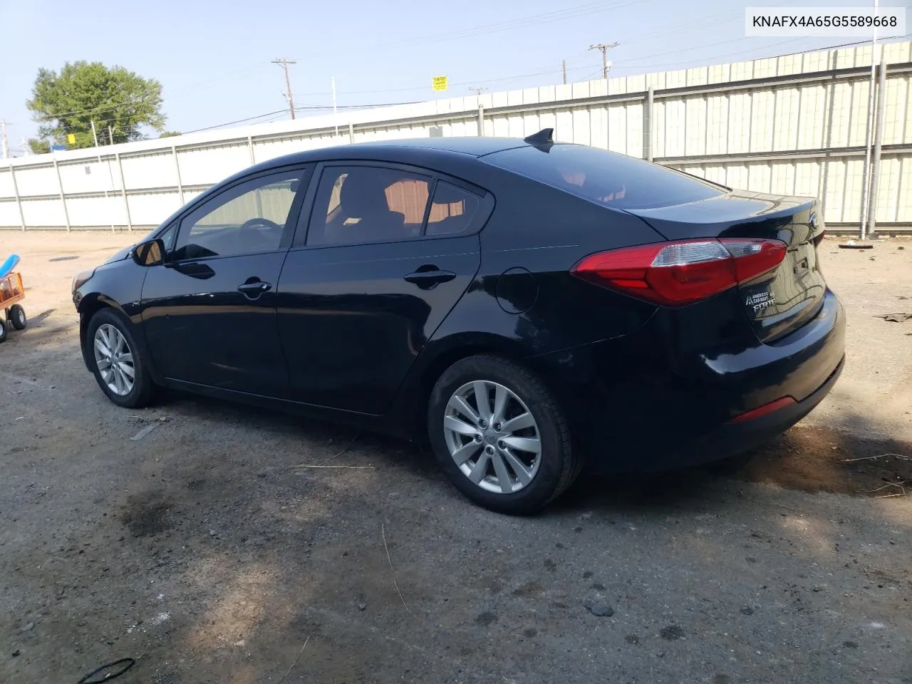 2016 Kia Forte Lx VIN: KNAFX4A65G5589668 Lot: 66506654