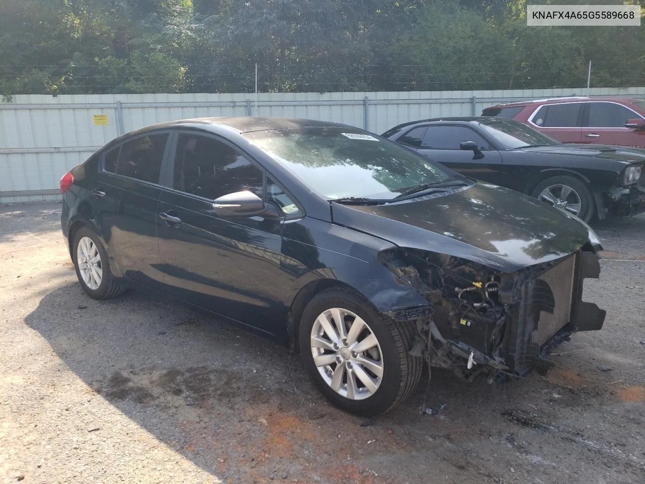 KNAFX4A65G5589668 2016 Kia Forte Lx