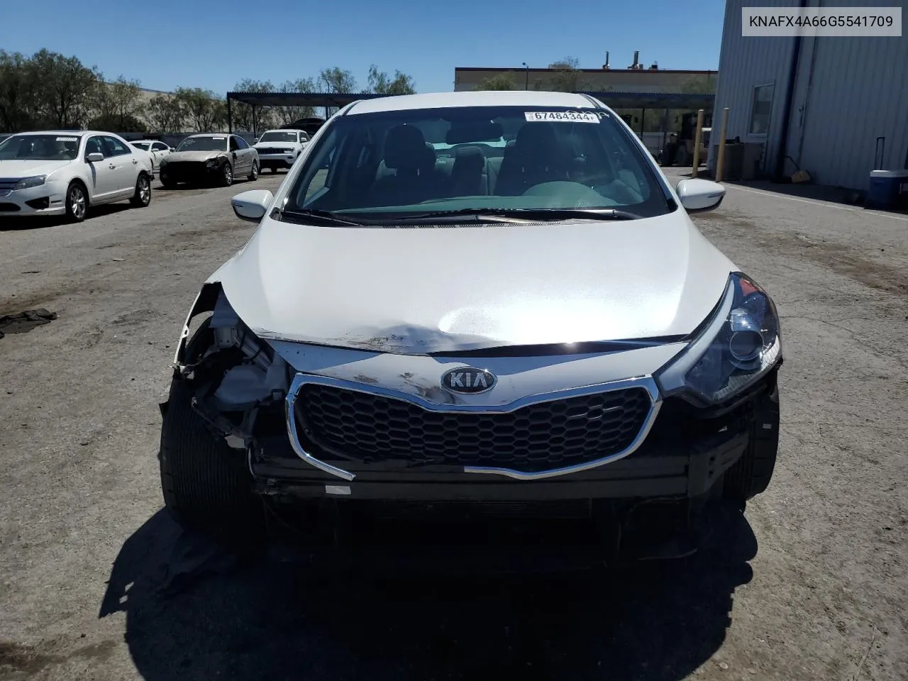 2016 Kia Forte Lx VIN: KNAFX4A66G5541709 Lot: 67484344