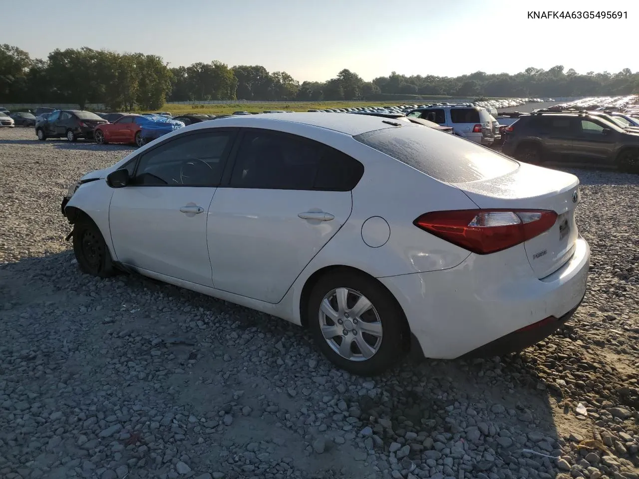 2016 Kia Forte Lx VIN: KNAFK4A63G5495691 Lot: 69140494