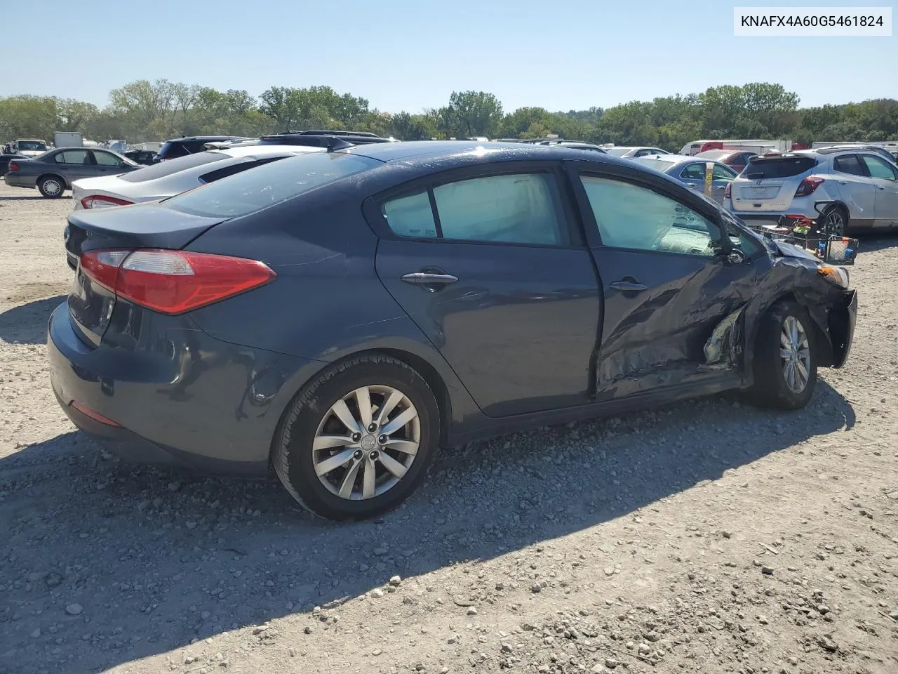 2016 Kia Forte Lx VIN: KNAFX4A60G5461824 Lot: 70193794