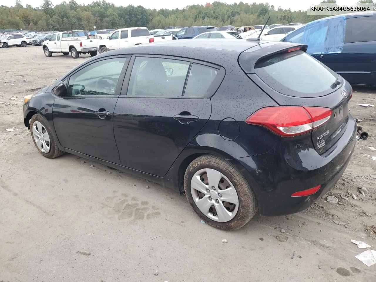 2016 Kia Forte Lx VIN: KNAFK5A84G5636064 Lot: 72546674