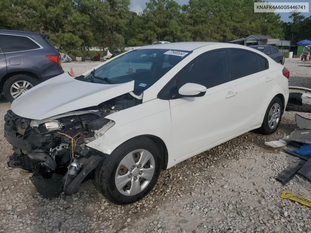 2016 Kia Forte Lx VIN: KNAFK4A60G5446741 Lot: 72588554