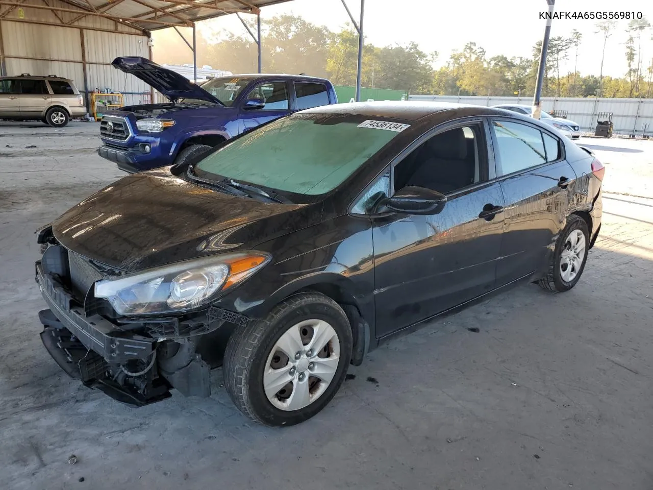 KNAFK4A65G5569810 2016 Kia Forte Lx