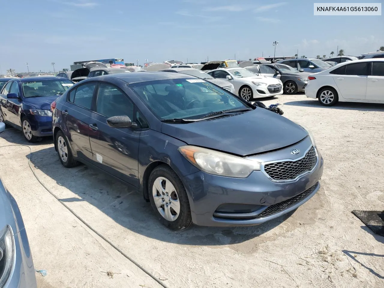 2016 Kia Forte Lx VIN: KNAFK4A61G5613060 Lot: 75193694