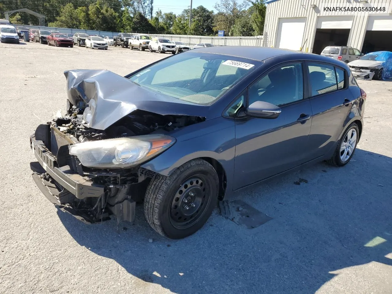 2016 Kia Forte Lx VIN: KNAFK5A80G5630648 Lot: 75669714