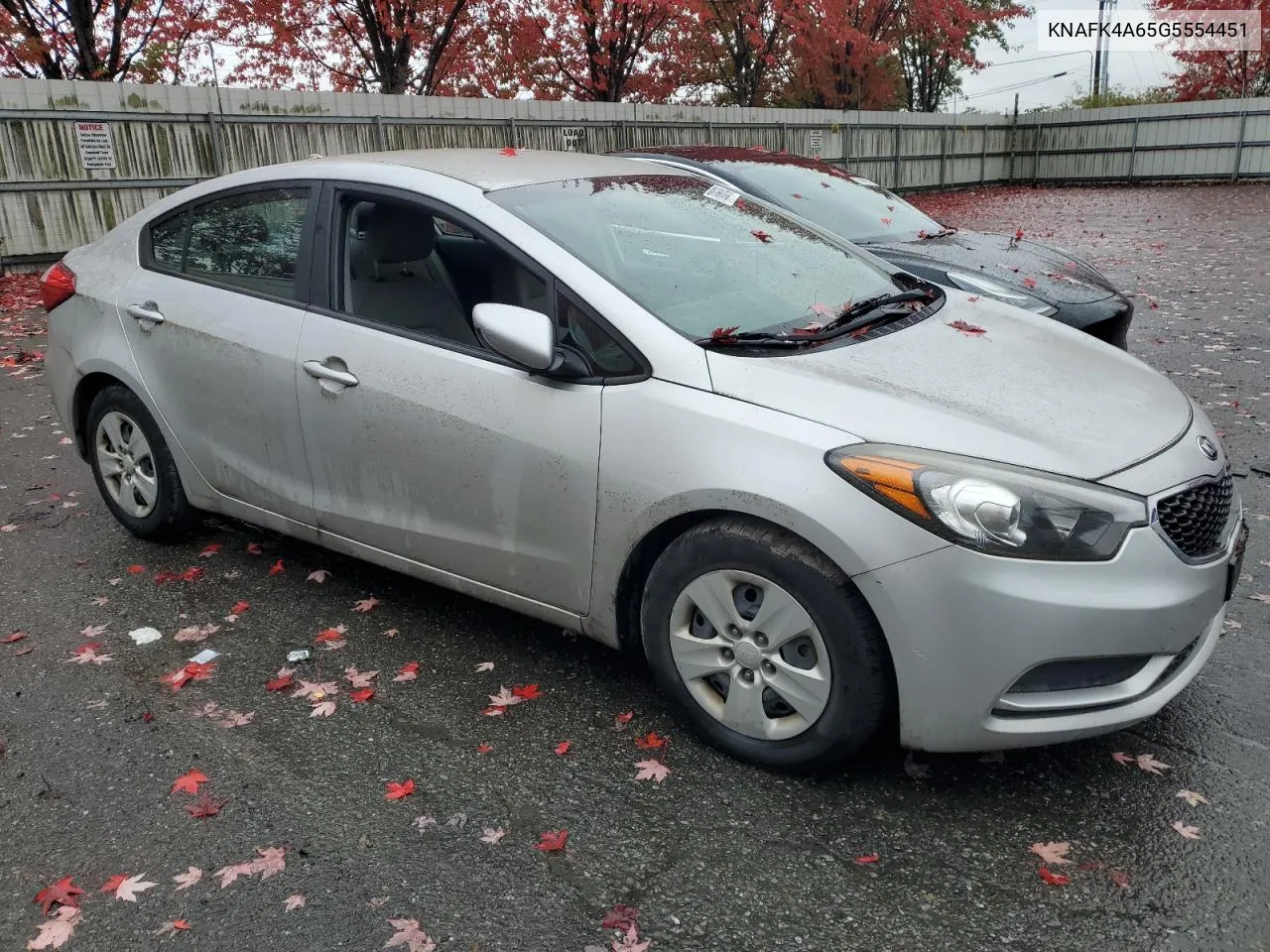 2016 Kia Forte Lx VIN: KNAFK4A65G5554451 Lot: 76366764