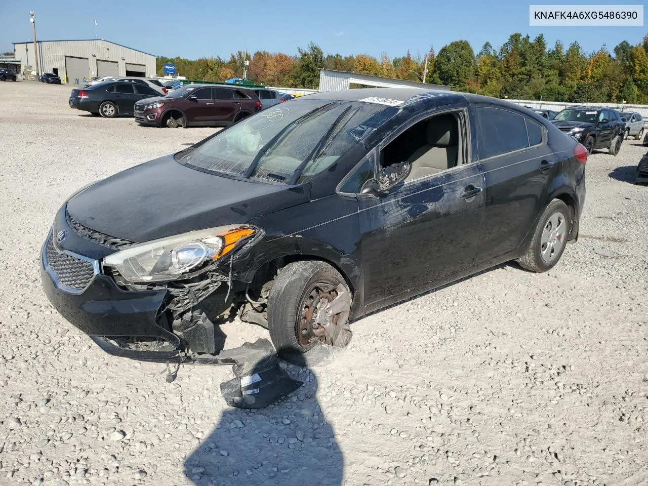 2016 Kia Forte Lx VIN: KNAFK4A6XG5486390 Lot: 77276414