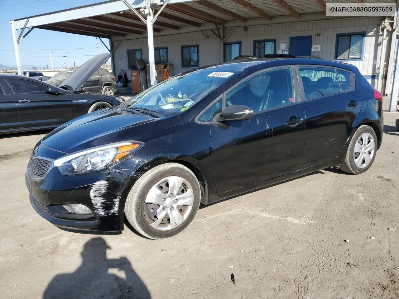 2016 Kia Forte Lx VIN: KNAFK5A83G5597659 Lot: 78669504