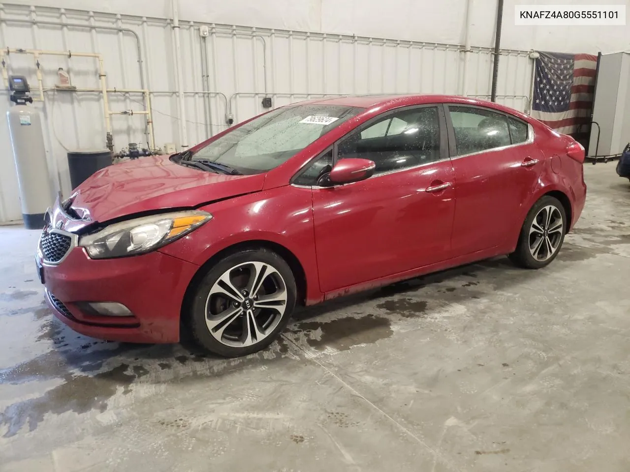 2016 Kia Forte Ex VIN: KNAFZ4A80G5551101 Lot: 79629624