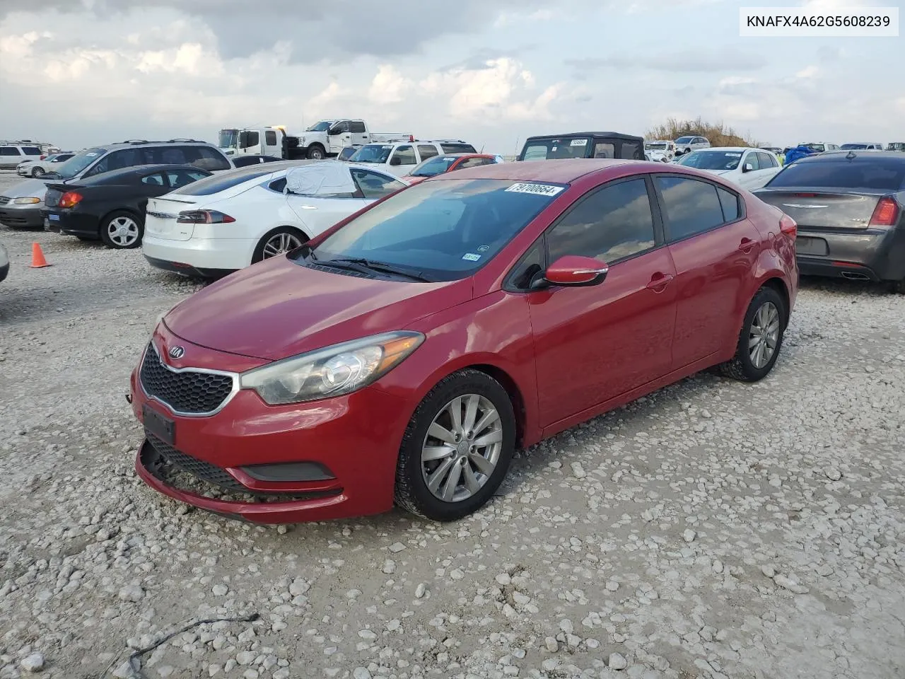 2016 Kia Forte Lx VIN: KNAFX4A62G5608239 Lot: 79700664