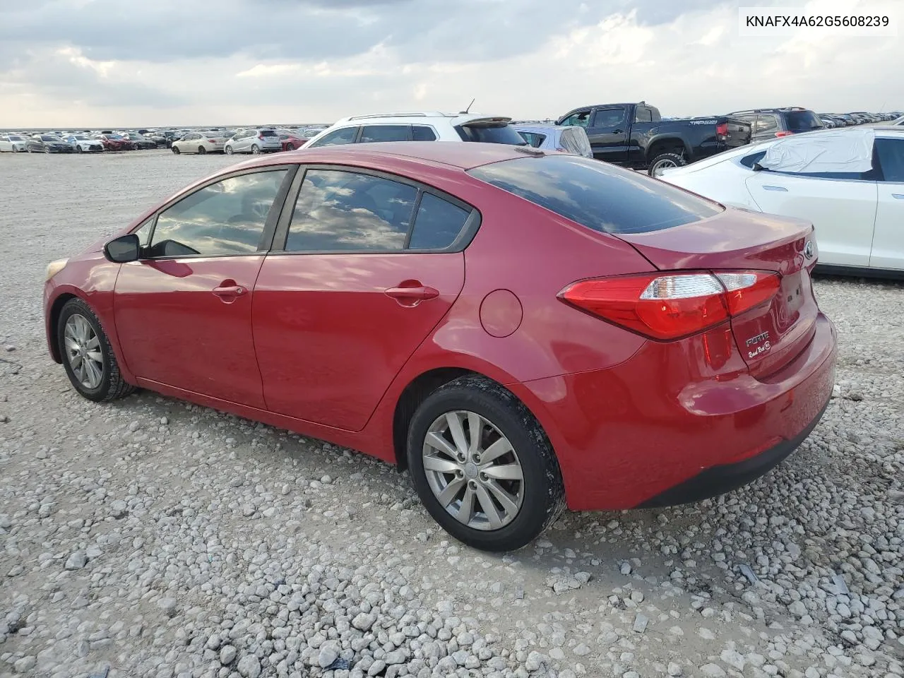 2016 Kia Forte Lx VIN: KNAFX4A62G5608239 Lot: 79700664