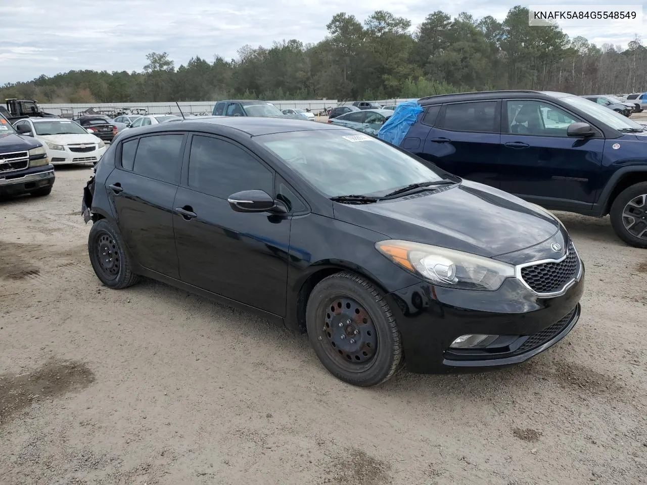 2016 Kia Forte Lx VIN: KNAFK5A84G5548549 Lot: 79889974