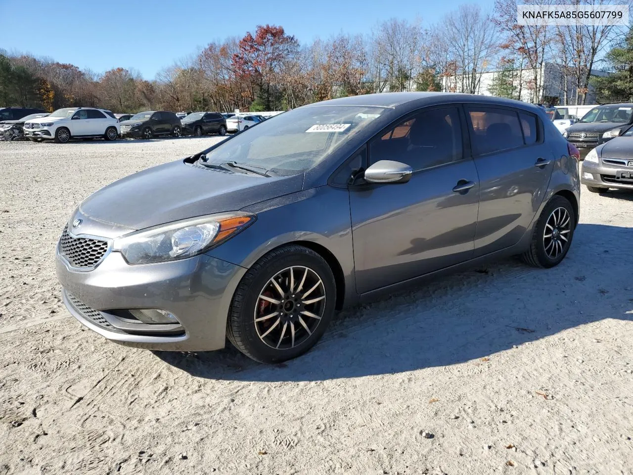 2016 Kia Forte Lx VIN: KNAFK5A85G5607799 Lot: 80056494