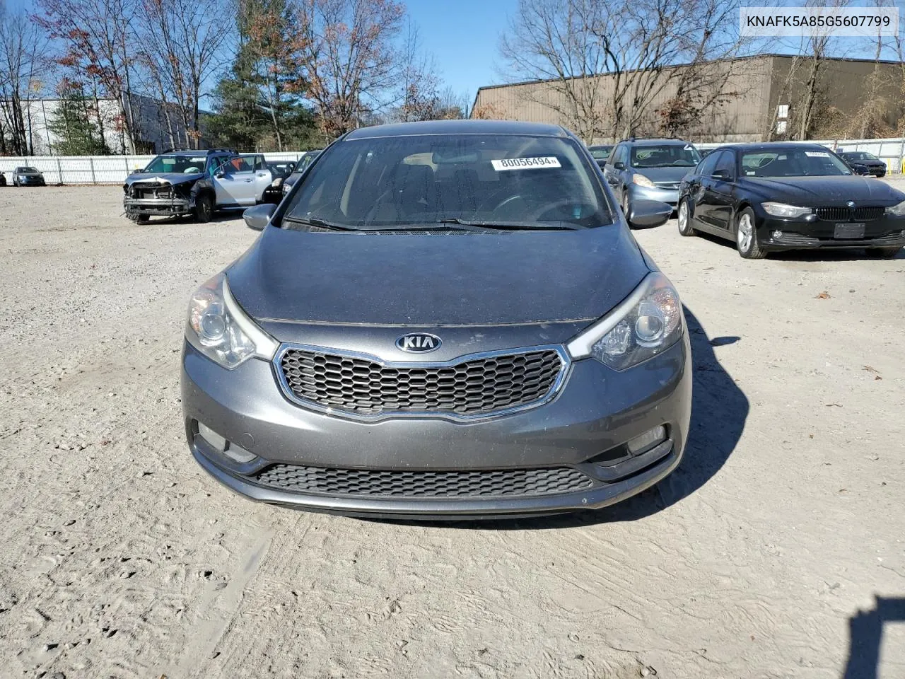 2016 Kia Forte Lx VIN: KNAFK5A85G5607799 Lot: 80056494