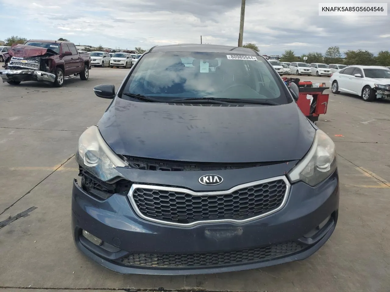 2016 Kia Forte Lx VIN: KNAFK5A85G5604546 Lot: 80985944