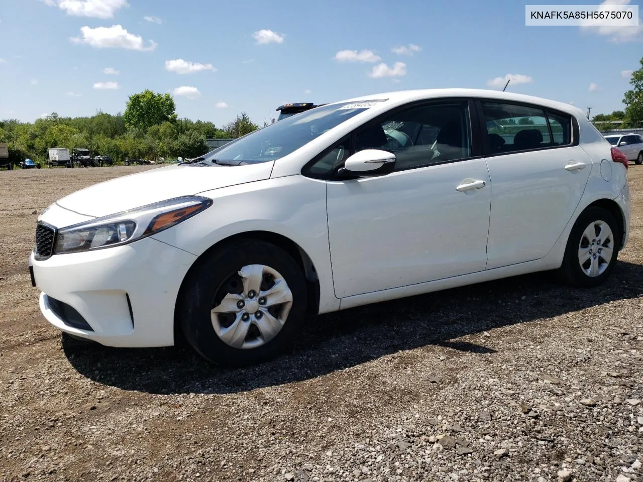 2017 Kia Forte Lx VIN: KNAFK5A85H5675070 Lot: 62894054