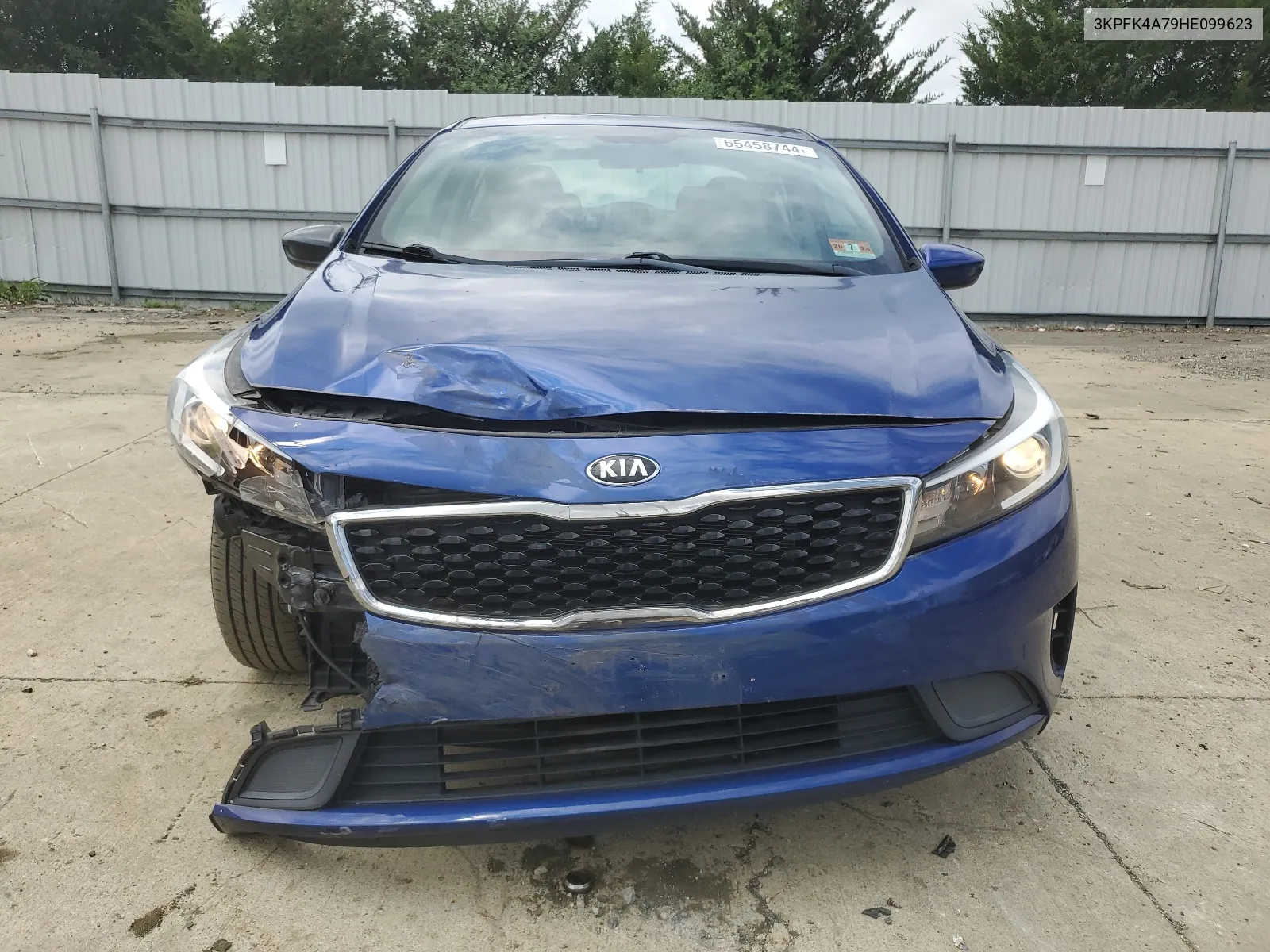 2017 Kia Forte Lx VIN: 3KPFK4A79HE099623 Lot: 65458744