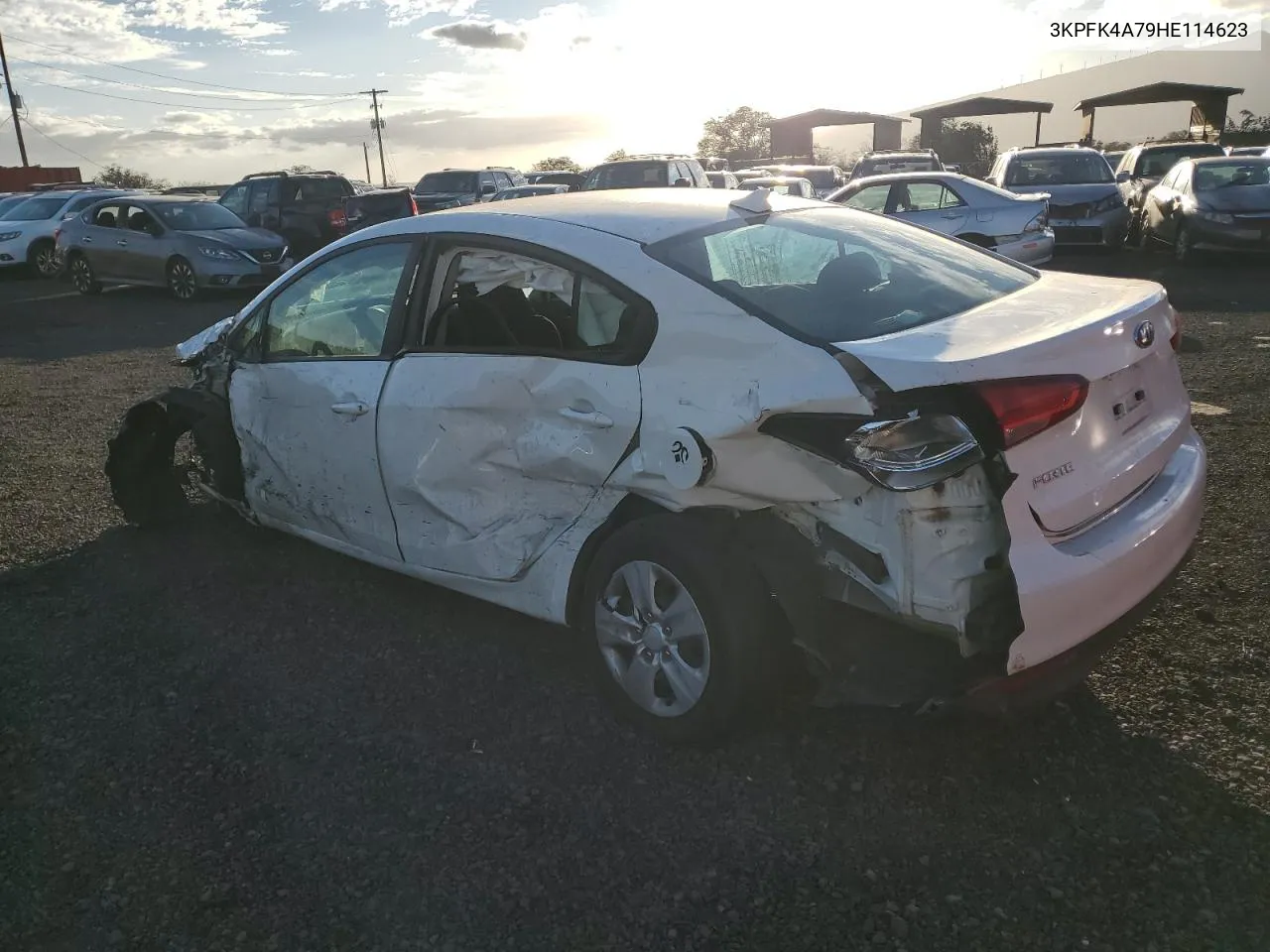 2017 Kia Forte Lx VIN: 3KPFK4A79HE114623 Lot: 77638184