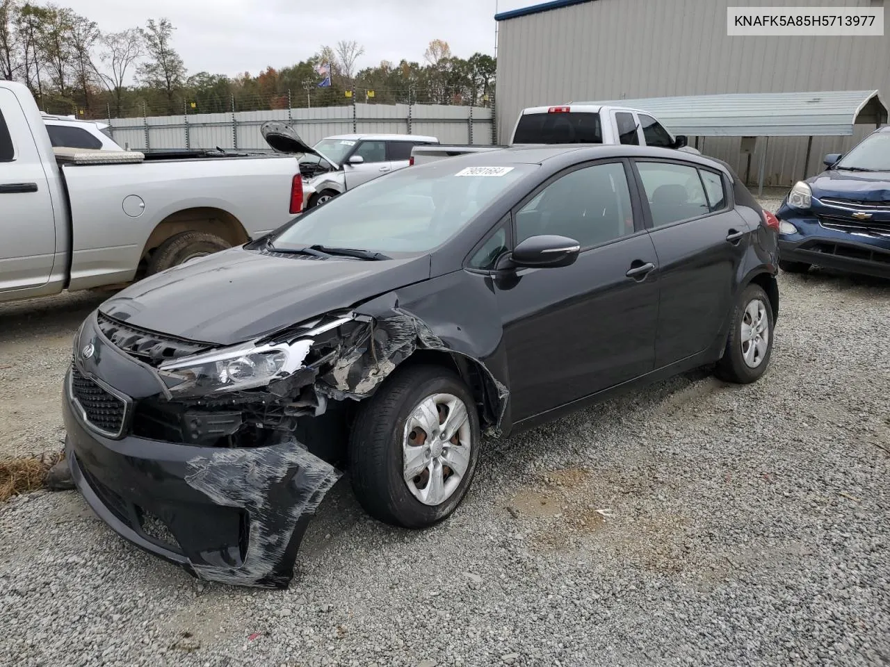 2017 Kia Forte Lx VIN: KNAFK5A85H5713977 Lot: 79091664