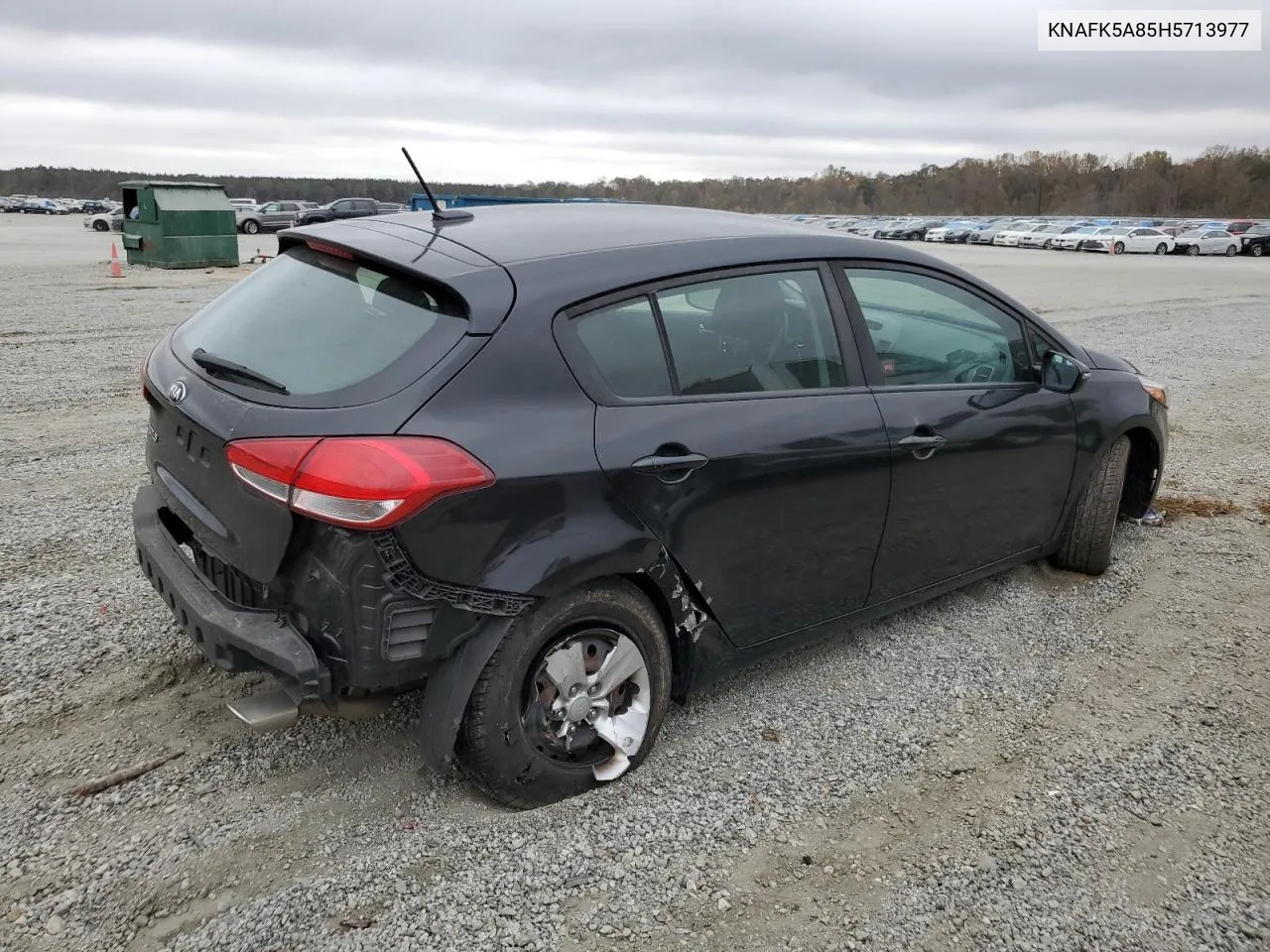 2017 Kia Forte Lx VIN: KNAFK5A85H5713977 Lot: 79091664