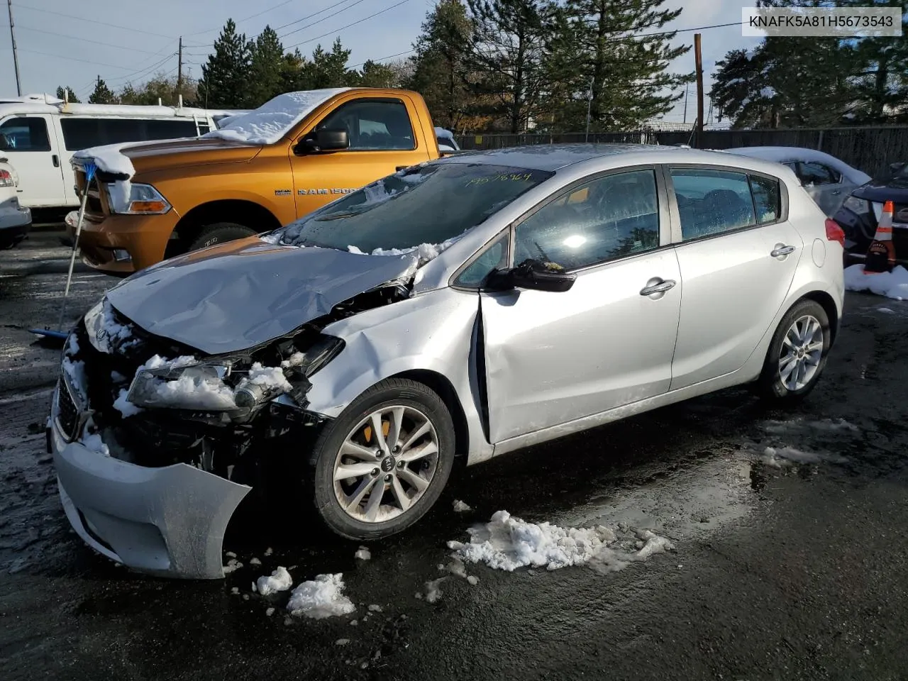 2017 Kia Forte Lx VIN: KNAFK5A81H5673543 Lot: 79578964