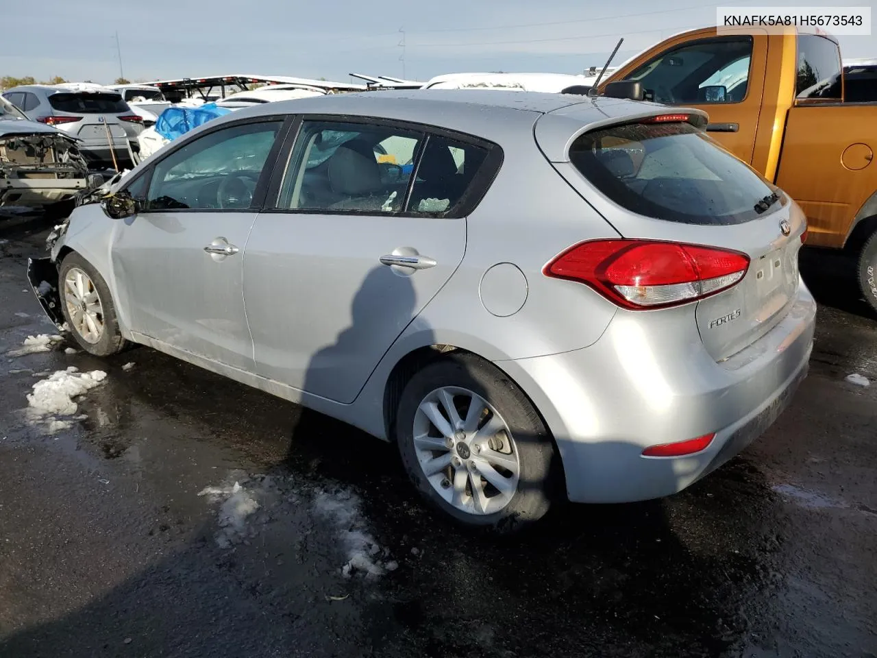 2017 Kia Forte Lx VIN: KNAFK5A81H5673543 Lot: 79578964